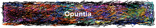 Opuntia