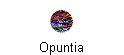 Opuntia